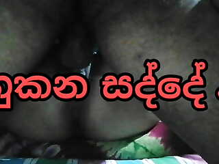 Sri lankan couple coitus sound  api hukana sadde ahanna anna.